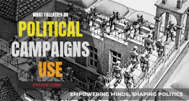 Political Campaigns: Fallacies and Their Impact