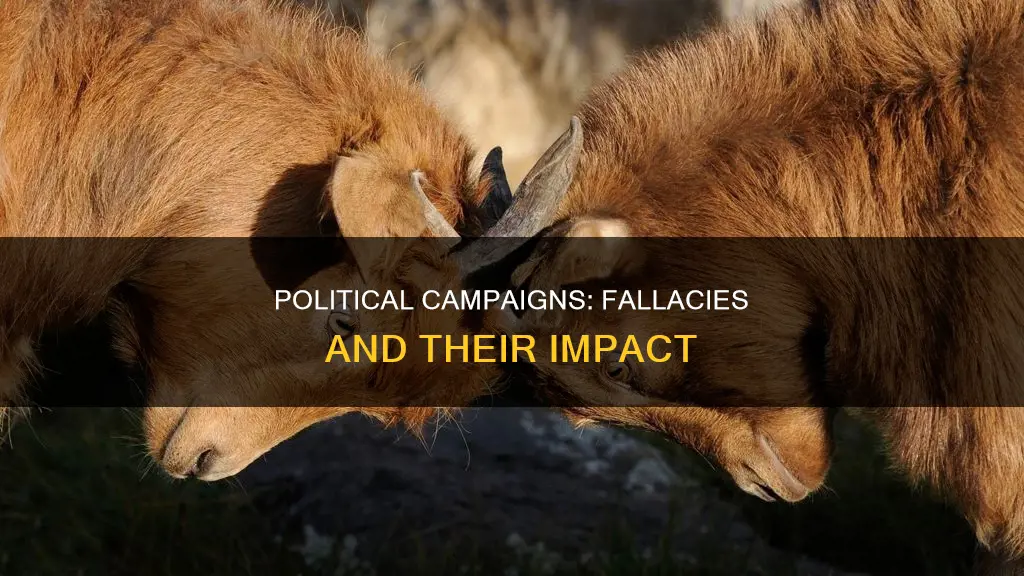 what fallacies do political campaigns use