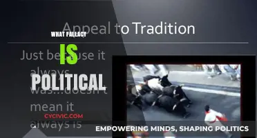 Unveiling Political Deception: Common Fallacies in Modern Political Discourse