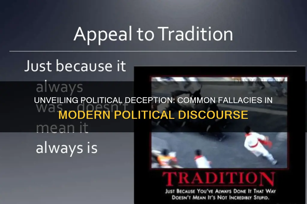 what fallacy is political