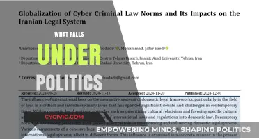 Exploring the Scope: What Falls Under the Umbrella of Politics?