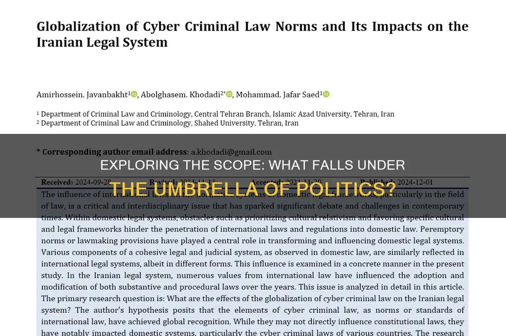 what falls under politics