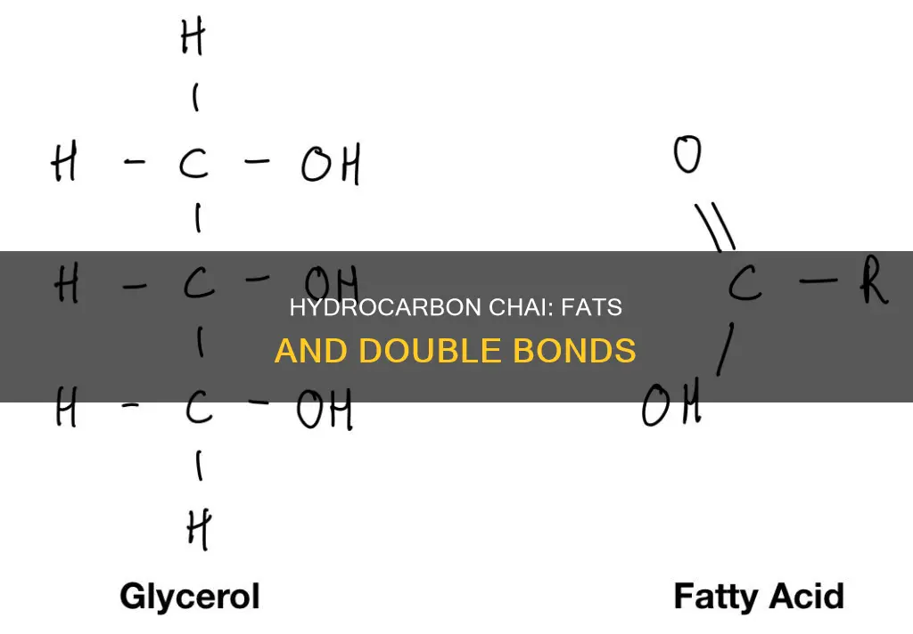 what fat constitutes hydrocarbon chai with two double bonds