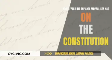 Anti-Federalists' Constitution Fears: Liberty and Tyranny