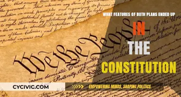 Plans' Features in the Constitution