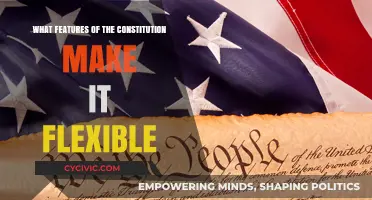 Key Features of the Constitution's Flexibility
