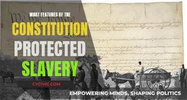 The Constitution's Dark Legacy: Protecting Slavery's Evil