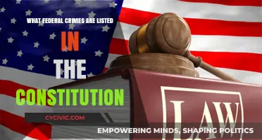 Federal Constitution: Crimes and Punishments