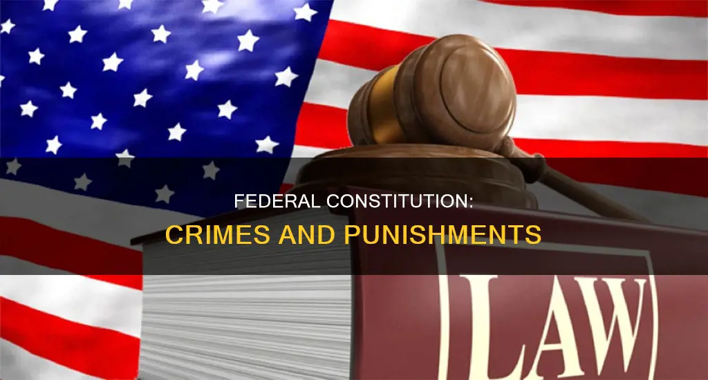 what federal crimes are listed in the constitution