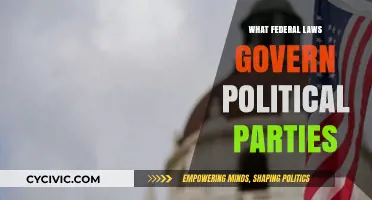 Understanding Federal Laws That Regulate U.S. Political Parties and Campaigns