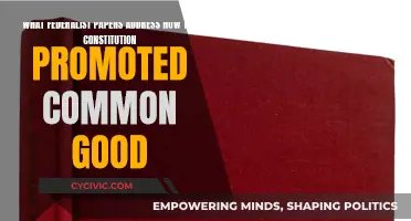 Federalist Papers: Constitution's Promotion of Common Good