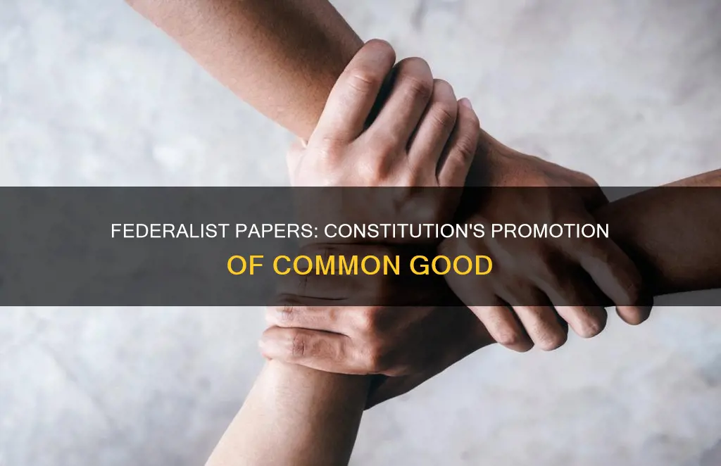 what federalist papers address how the constitution promoted common good