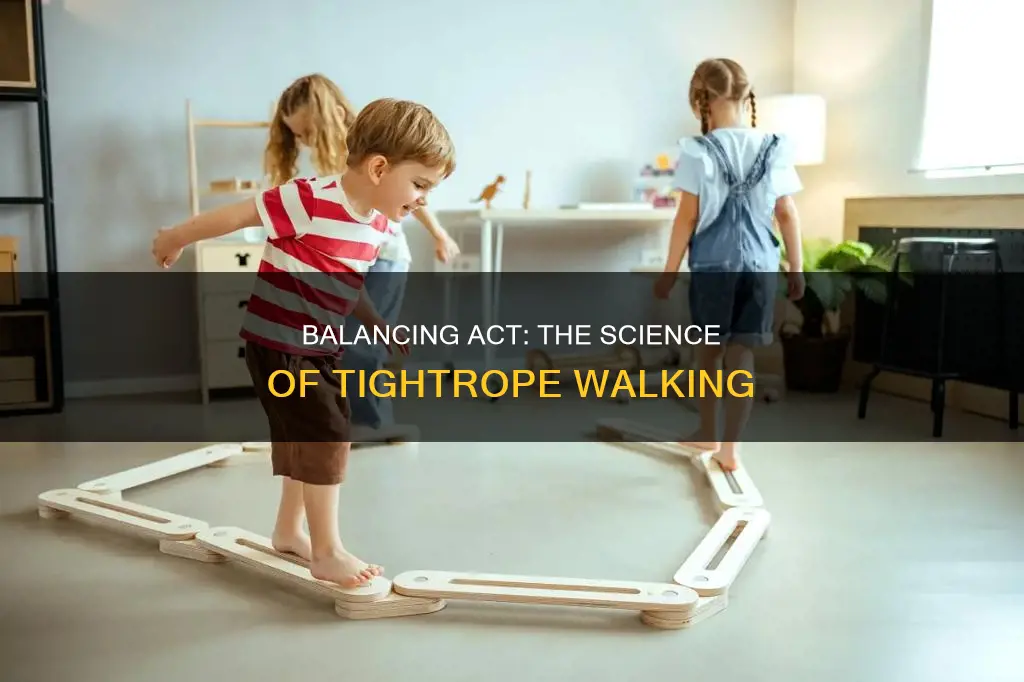 what figure constitutes the stability of the tightrope walker