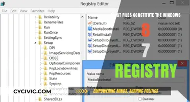 Files Forming the Windows 8.7 Registry