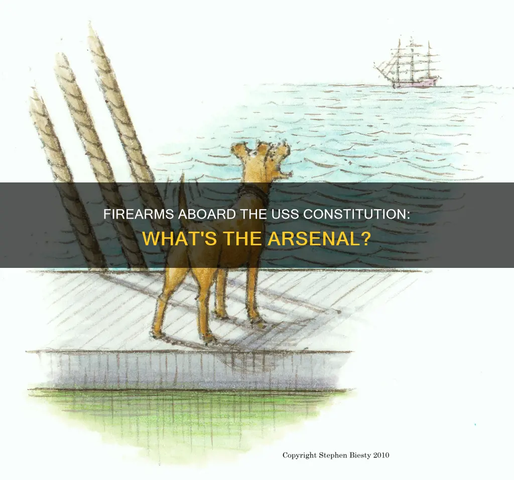 what firearms do personnel carry on the uss constitution