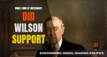 Wilson's Vision: Open Diplomacy for a New Era