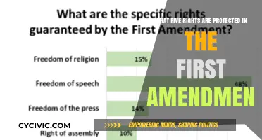 First Amendment: Five Fundamental Freedoms