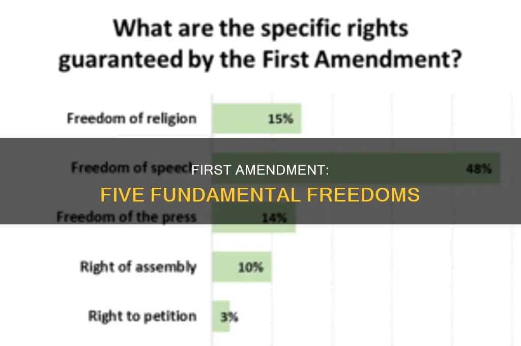 what five rights are protected in the first amendment