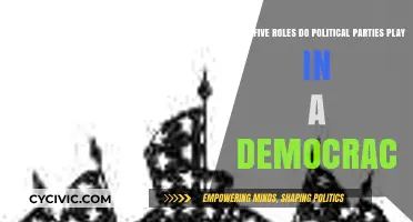 Key Roles Political Parties Fulfill in Democratic Systems
