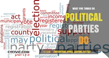 Key Roles of Political Parties: Five Essential Functions Explained