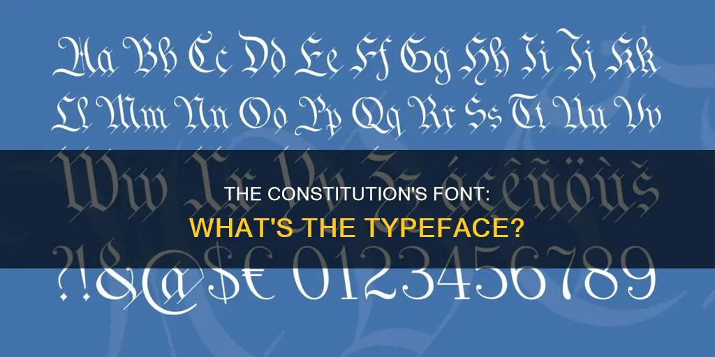 what font is most like the one n the constitution