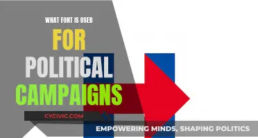 Fonts and Political Campaigns: A Typographic Strategy