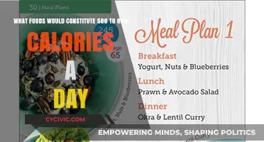 Smart Calorie Counting: 500-800 Calorie Foods