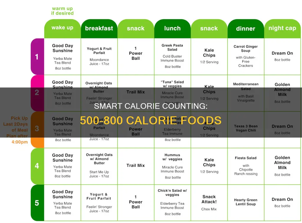 what foods would constitute 500 to 800 calories a day