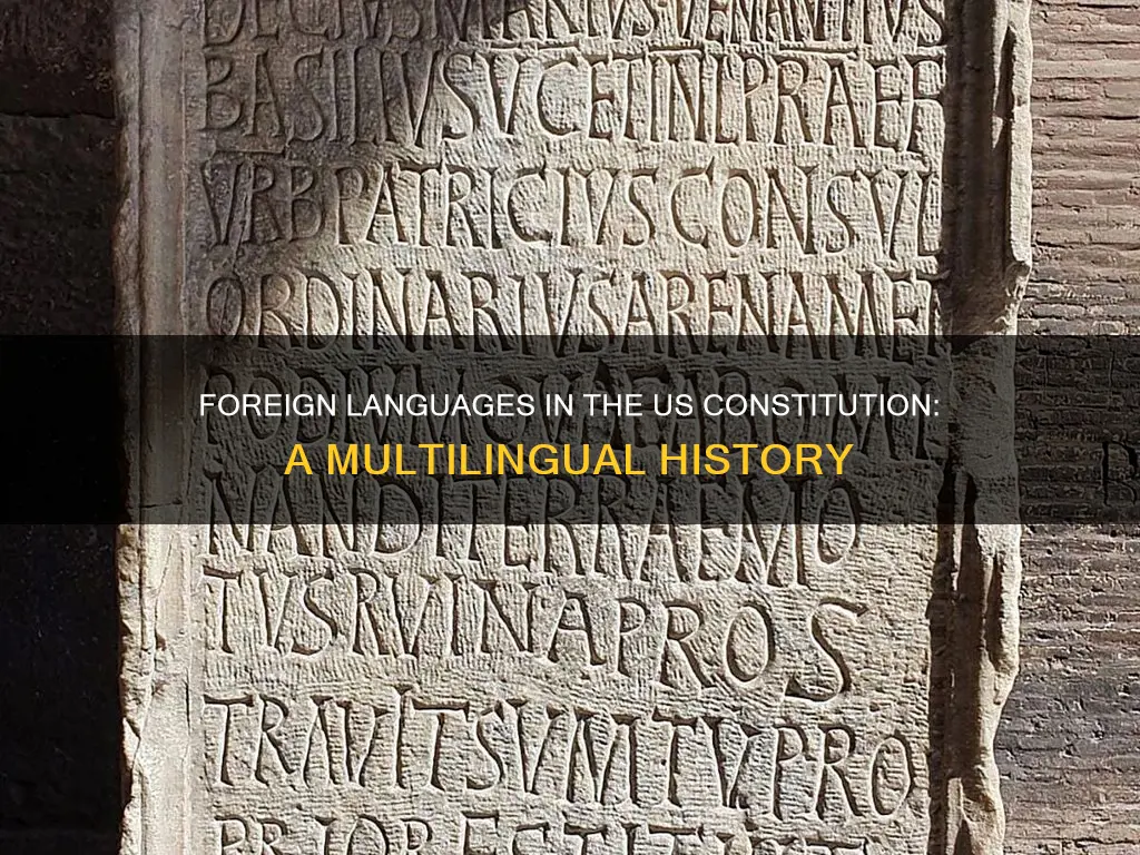 what foreign language is used in the constitution