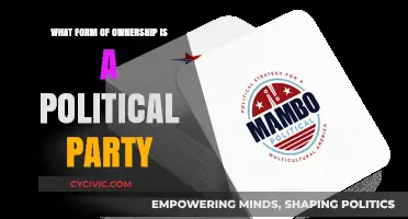 Understanding Political Parties: Legal Ownership Structures and Their Implications