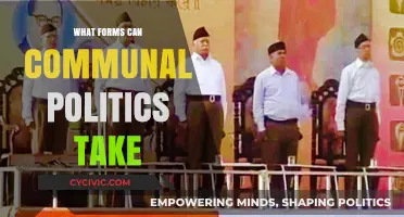 Exploring the Diverse Forms of Communal Politics: A Comprehensive Guide