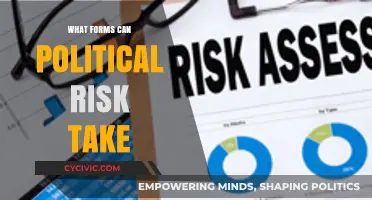 Navigating the Complex Landscape of Political Risk: A Comprehensive Guide