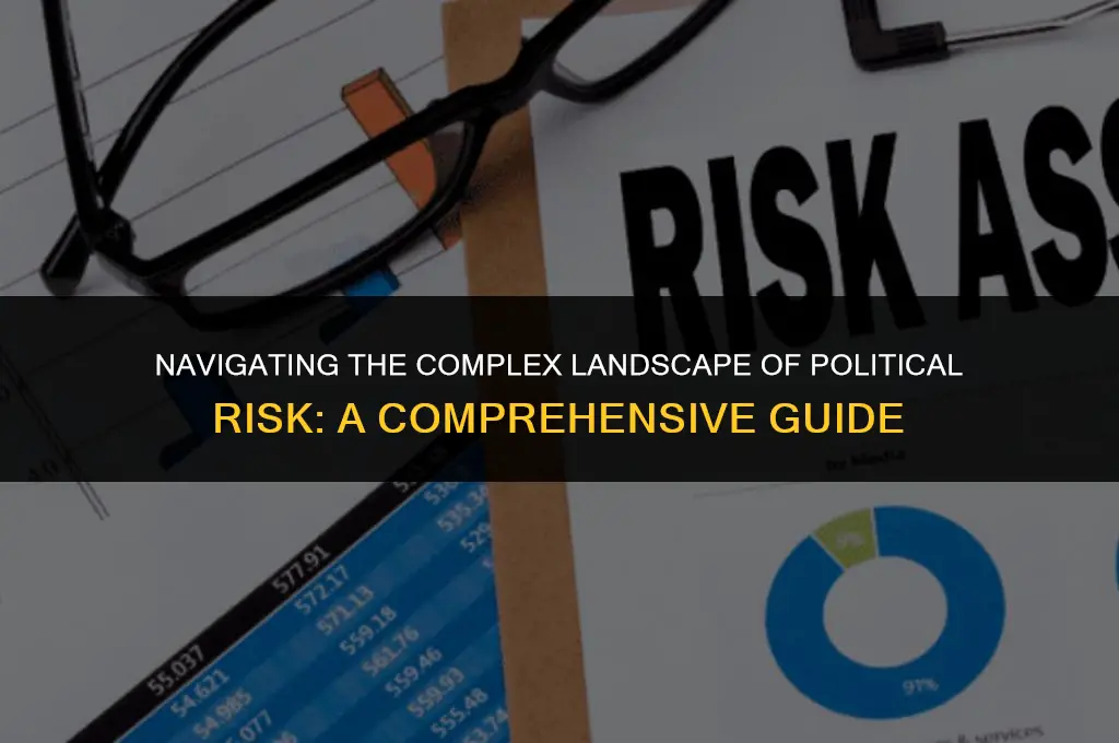 what forms can political risk take