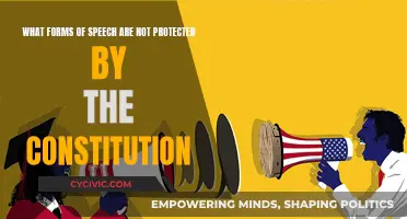 Unprotected Speech: What the Constitution Doesn't Defend