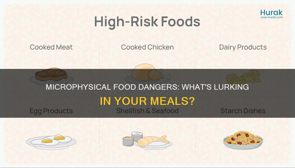 what found in food products constitute microphysical dangers