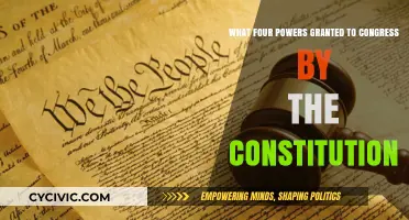 Congress' Constitutional Powers: Four Key Abilities
