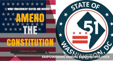 Amending the Constitution: States' Fractional Power