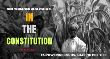 The Three-Fifths Compromise: Counting Slaves in the Constitution