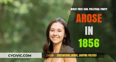 The Rise of the Free Soil Party in 1856: A Historical Overview