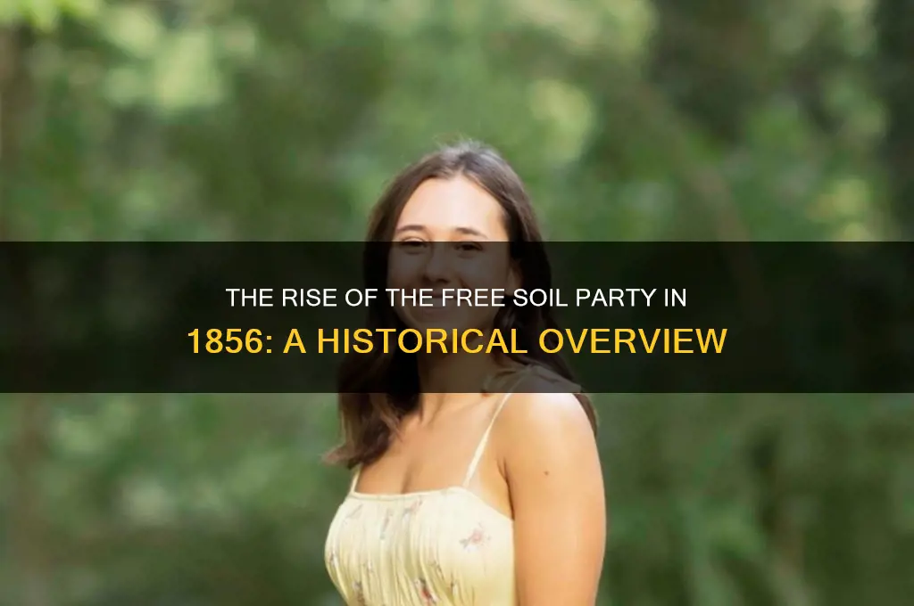 what free soil political party arose in 1856