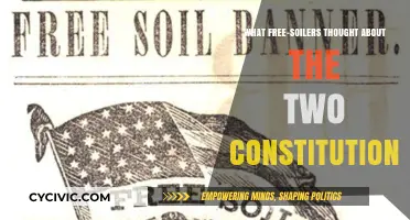 Free-Soilers' Take on Constitutions: A Comparison