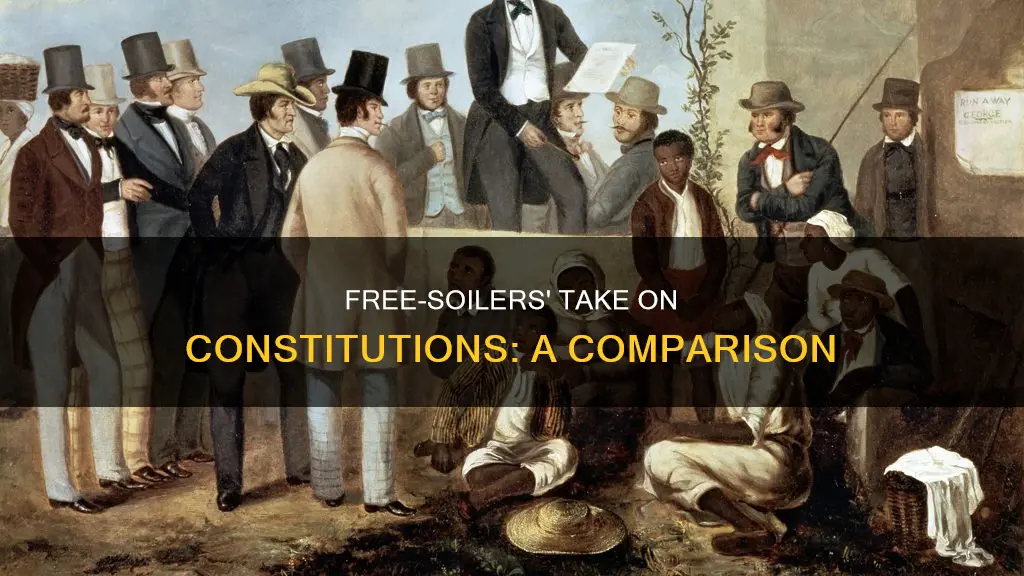 what free-soilers thought about the two constitutions