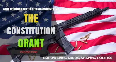 The Second Amendment: Right to Bear Arms