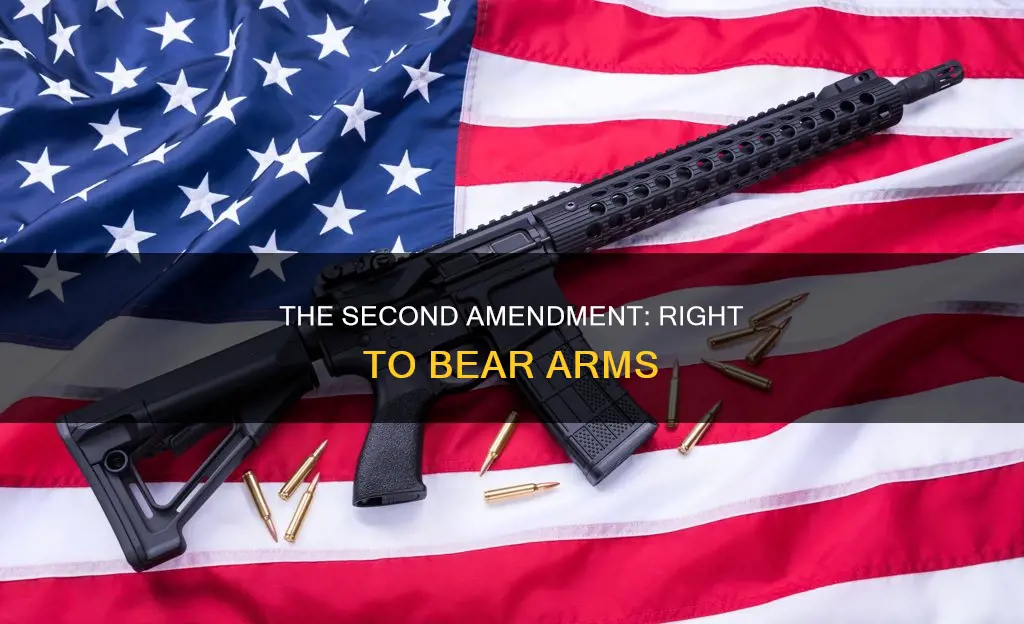 what freedom does the second amendment of the constitution grant