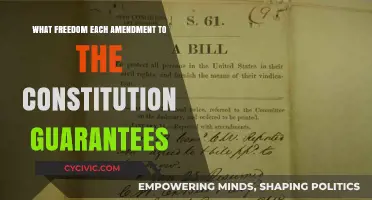 Amendments: Our Freedoms and Rights