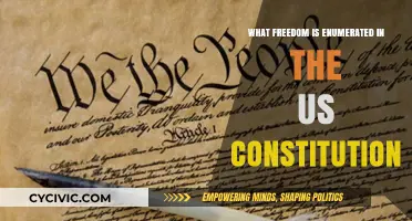 The US Constitution: Enumerated Freedoms and Rights