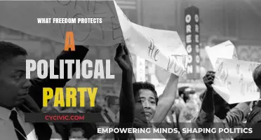 Understanding Constitutional Safeguards for Political Parties' Freedoms and Rights