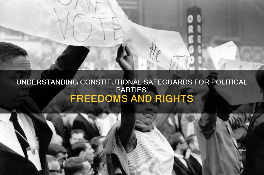 what freedom protects a political party