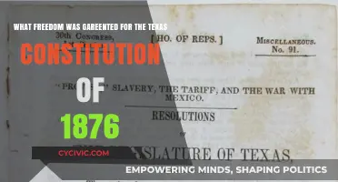 The Texas Constitution of 1876: Freedom and Rights