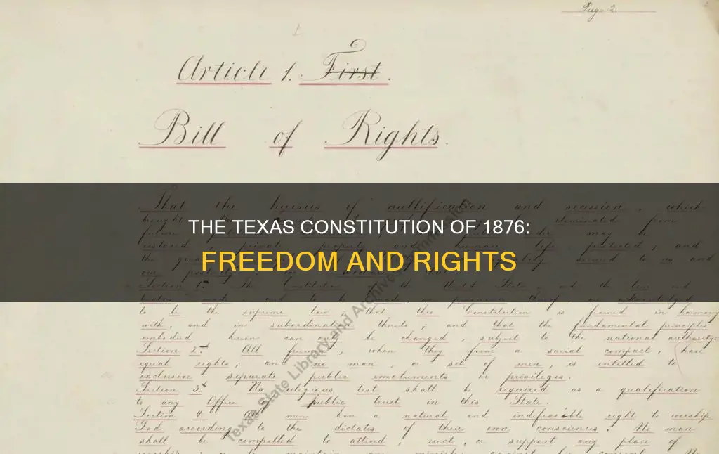 what freedom was gareented for the texas constitution of 1876